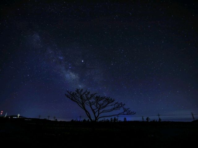 🌌 제주 은하수 보기 좋은 장소"성이시돌목장"