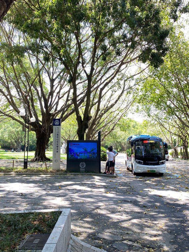 深圳蓮花山公園