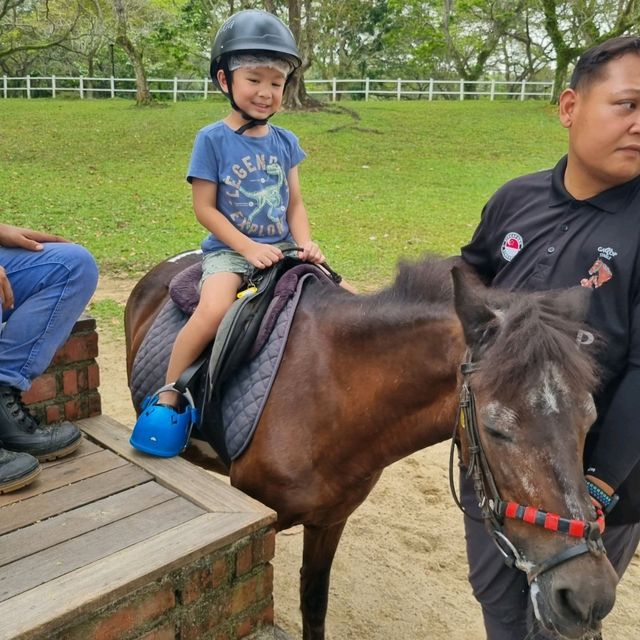Fun With Horses At Gallop Stable 🐴