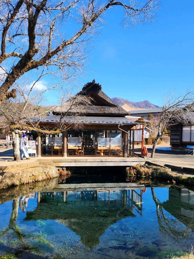 忍野八海🏔看到富士山之世外桃園