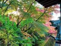 เที่ยวใบไม้เปลี่ยนสี เกียวโต วัดเอกันโดเซ็นริน ⛩️🍁