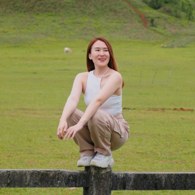 “ระนอง” ไม่ได้มีดีแค่ทะเล 🌾
