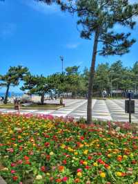동해안 최대 해변은 바로 여기! 경포해변🏖