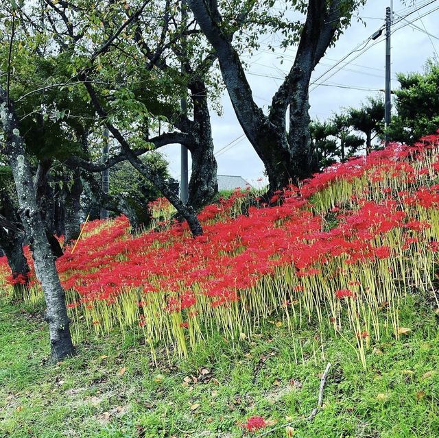 天王川公園