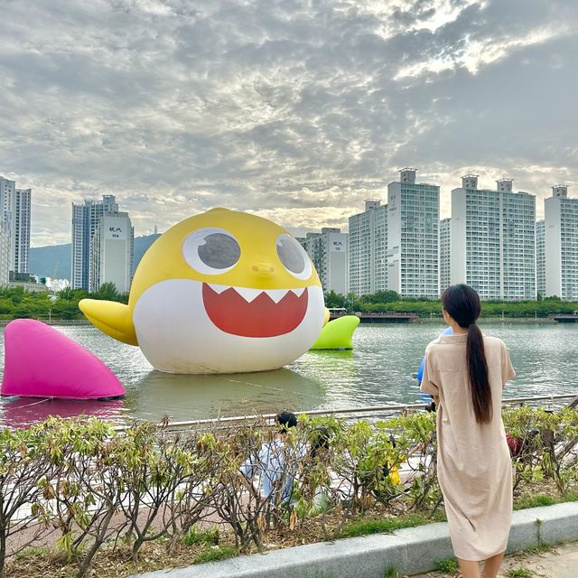 센텀 아기상어 핑크퐁 아이랑 가기좋은곳