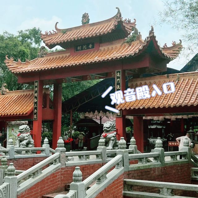 美到不要不要的竹林🌳🌳