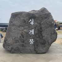 제주 서쪽 코스추천 싱계물 공원 & 춘미향 식당 👍🏻