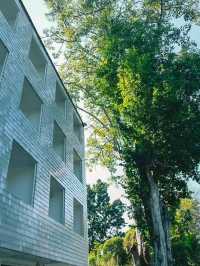 Little Shelter Hotel Chiangmai ที่พักสวยริมน้ำปิง