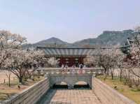 조선의 궁, 경복궁