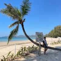 The Lazy Coconut บีชคลับสุดชิค