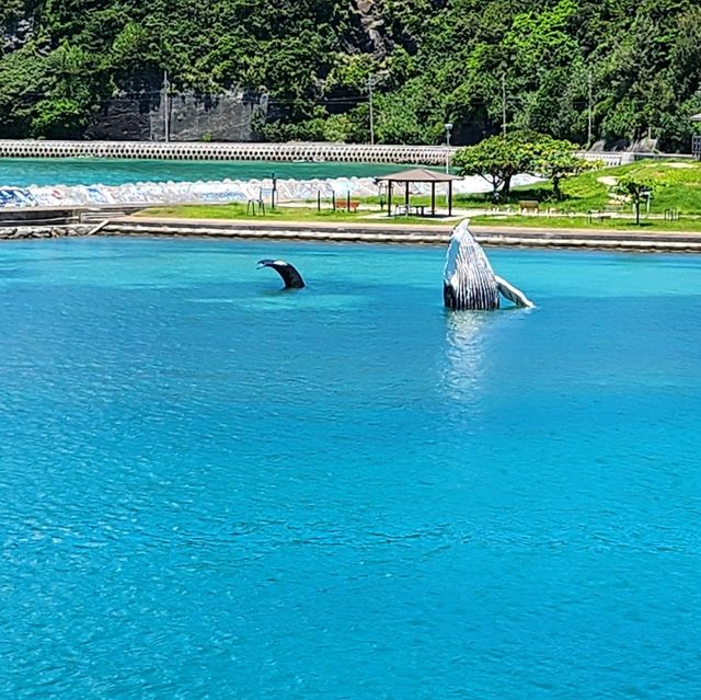 座間味島體驗浮潛樂趣