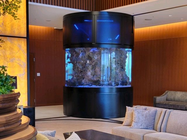 「景色最高」ハイアットリージェンシー東京ベイ
