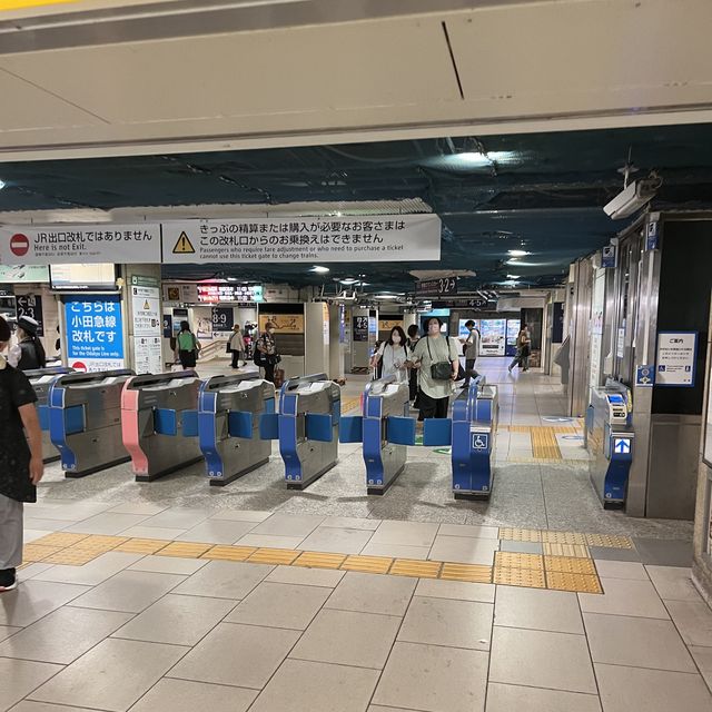 🇯🇵 Nippori Station Interchange 