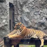 Manila Zoo