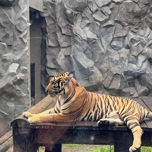 Manila Zoo
