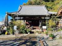 【静岡県/真珠院】鎌倉殿の13人・八重姫をまつる寺院