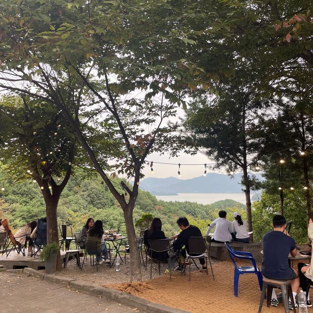 충주에서 만난 악어떼🐊😮🐊