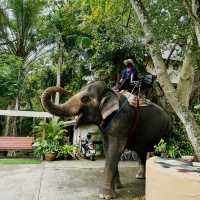 Nakhon Ratchasima Province, a hidden Gem 