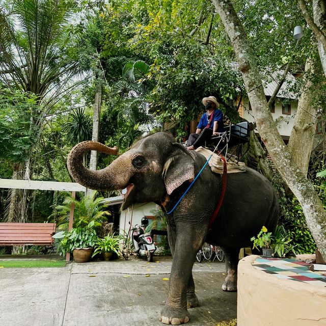 Nakhon Ratchasima Province, a hidden Gem 