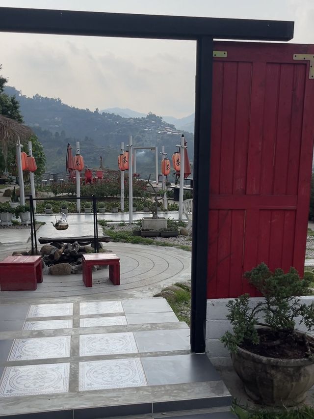 ไร่ชาวังพุดตาล บรรยากาศดีแบบ100% ⛩️🌱🍃