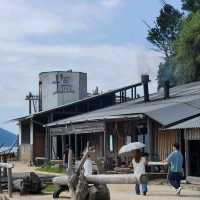 【日本 福岡】糸島観光スポット！お塩製造所