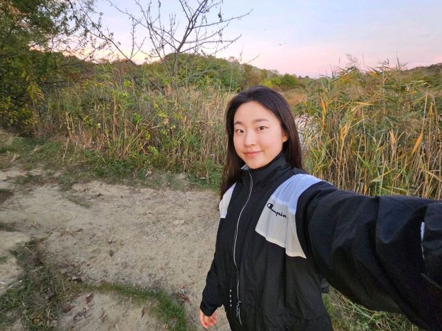 비엔나 노을 명소 추천