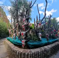All in One | Kunming Ethnic Village