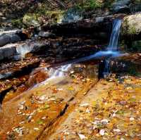 Beautiful Autumn View of Palgongsan Mountain 