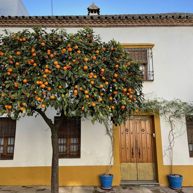 Cordoba, Spain