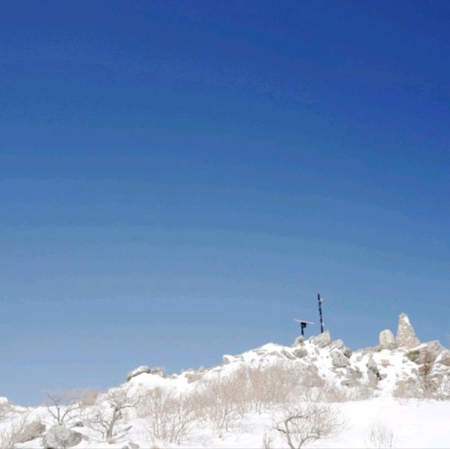 함백산 눈꽃여행 