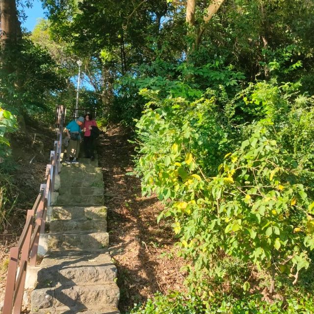 幽靜的碧湖登山步道