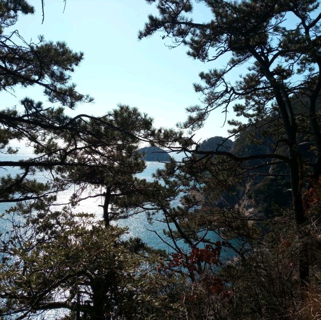 암남공원 산책은 대자연에 품속으로