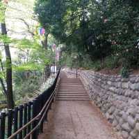 賞櫻名所 飛鳥山公園🌸