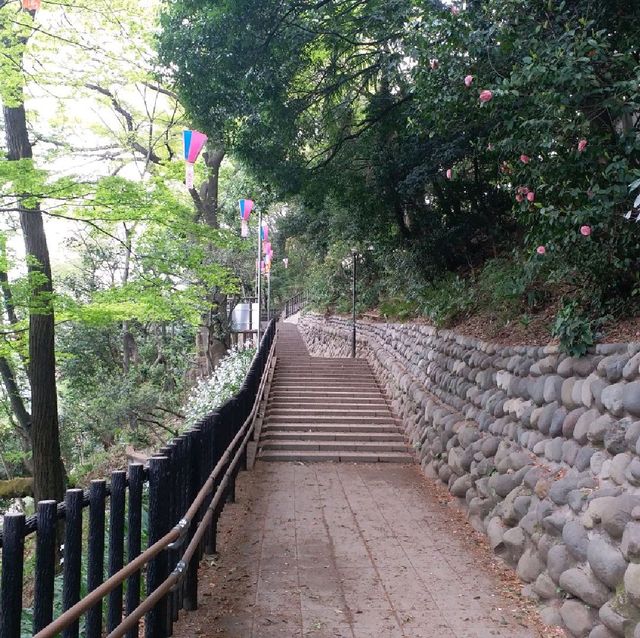 賞櫻名所 飛鳥山公園🌸