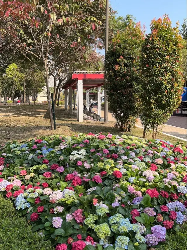 放電好去處⚡️好多個遊樂場嘅將軍澳寶康公園