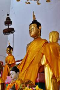 วัดเสนานุชรังสรรค์ พังงา