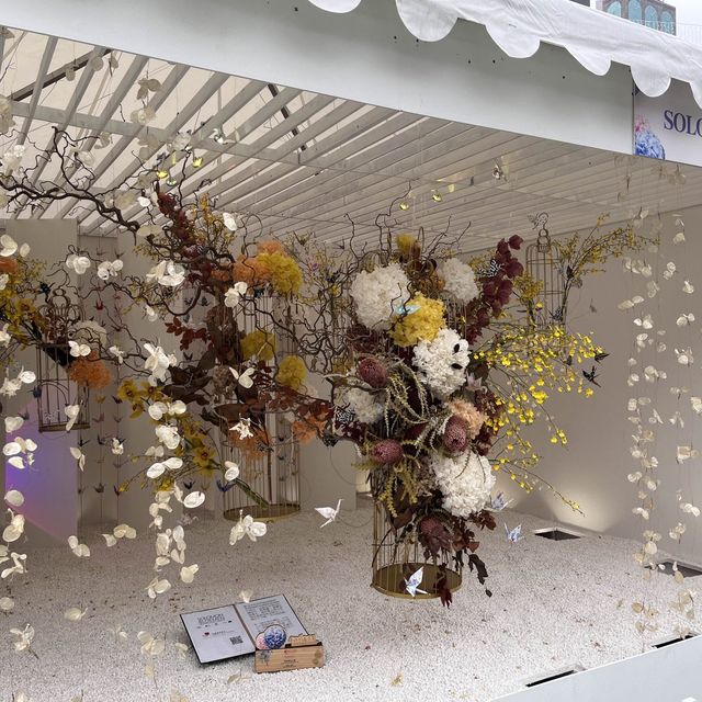 春日限定，花迷值得一去～維多利亞公園花卉展🌸