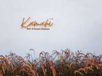 Kamari Resort & Cafe kohlarnที่พักเปิดใหม่เกาะล้าน