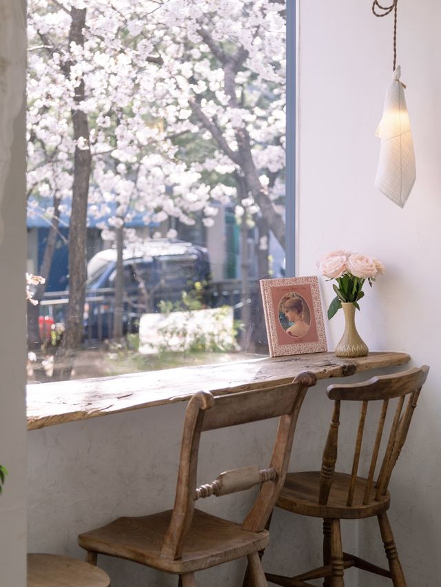 통창으로 벚꽃이 흩날리는 브런치 카페
