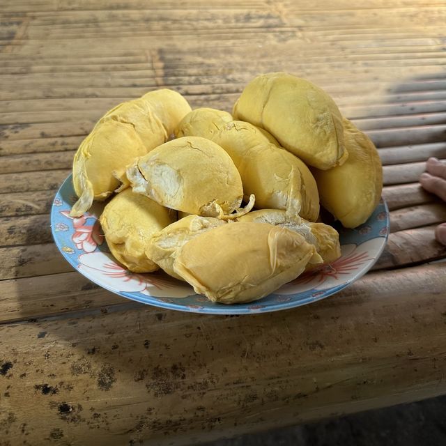 Eat a lot of Durian @ Durian land, Chantaburi