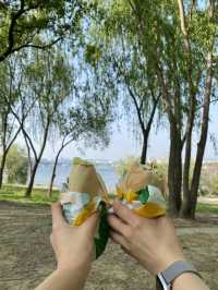 나만 알고싶은 피크닉 장소 양화한강공원🥪🌳