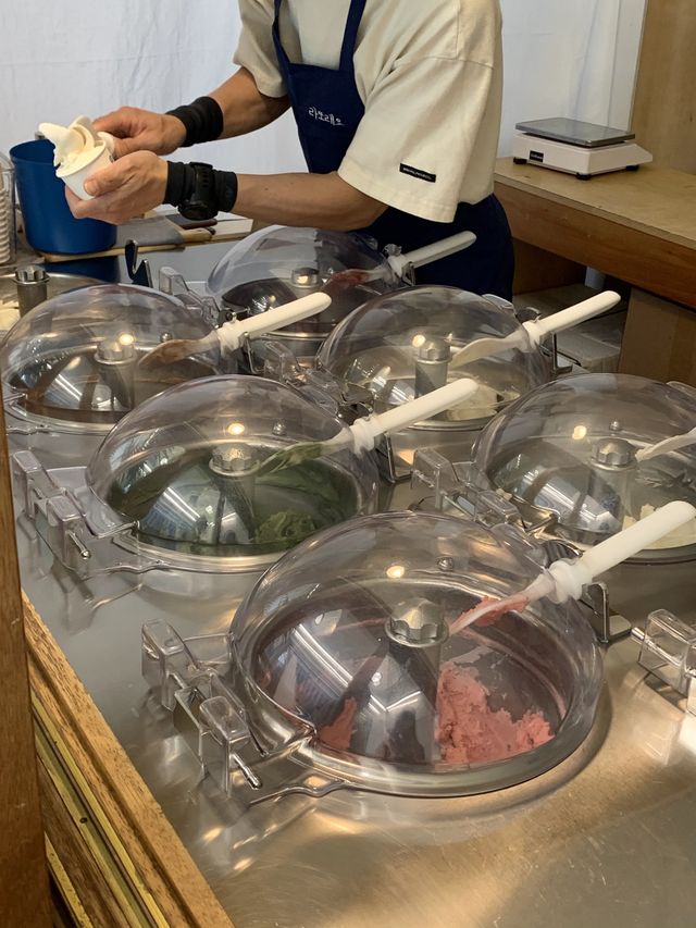 속초 강원도 감자로 만든 색다른 젤라또 맛집🍨 [속초_라또래요]