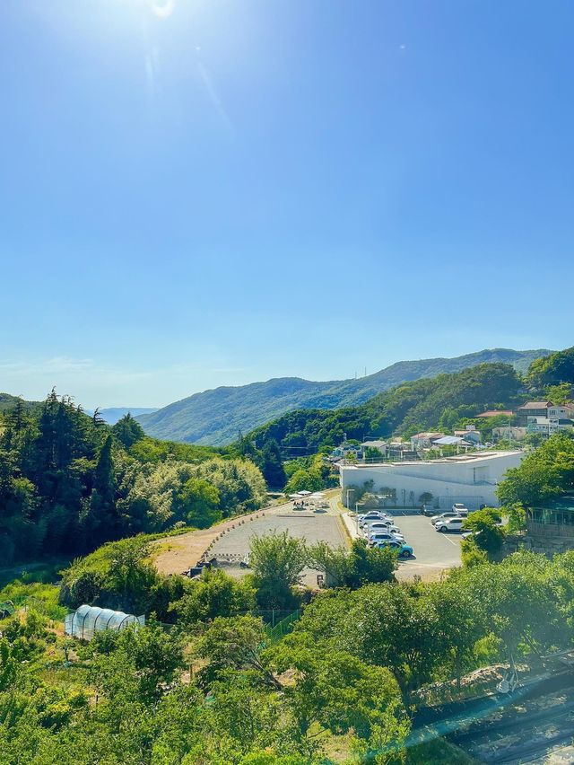 마운틴뷰 대형카페⛰️