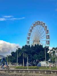 Should you visit Cairns, Australia?🇦🇺