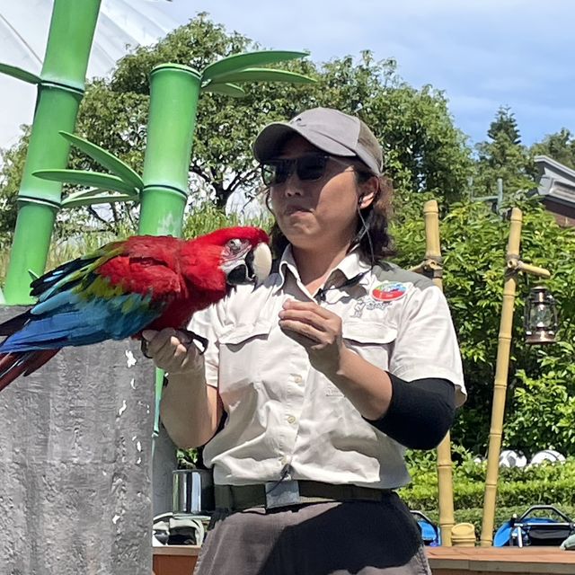 海洋公園😁夏日玩樂之旅