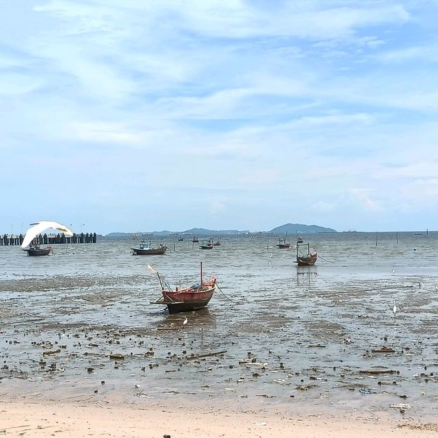 อาหารทะเลสดๆ ประมงพื้นบ้านหาดวอนนภา