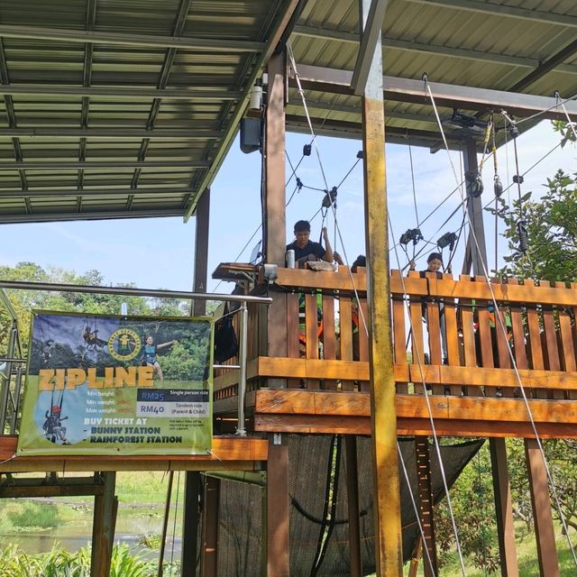 Fun Zipline Activities in Borneo Happy Farm