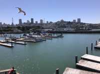 Pier 39: Where the Magic of San Francisco Unf