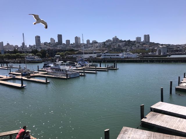 Pier 39: Where the Magic of San Francisco Unf