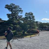 Motorikyu Nijo castle garden 